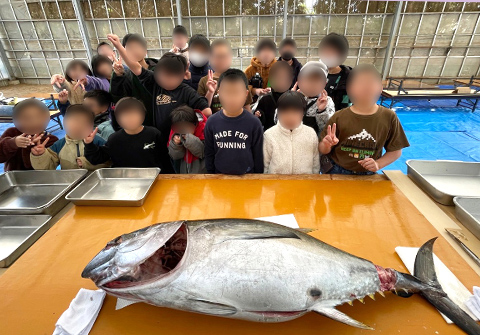 マグロ解体ショー