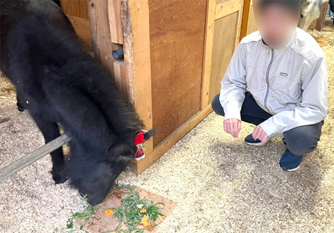 餌やり